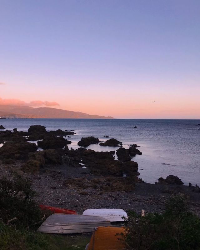 A Wellington appreciation post. So pretty at the bay 💕