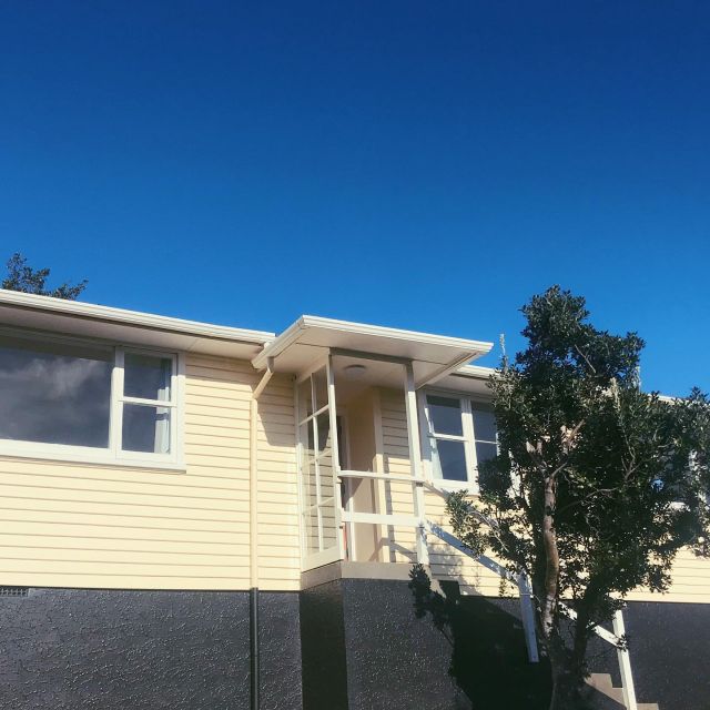 New Blog Post! This one is about buying a house in Wellington. Why we did it after saying we wouldn’t ever be able to….it’s been a journey and thought I’d share what I learnt and some tips for buying. It’s a dog eat dog world out there 💙 link in bio 🔗 and now we have some lil lady housemates too 🐓